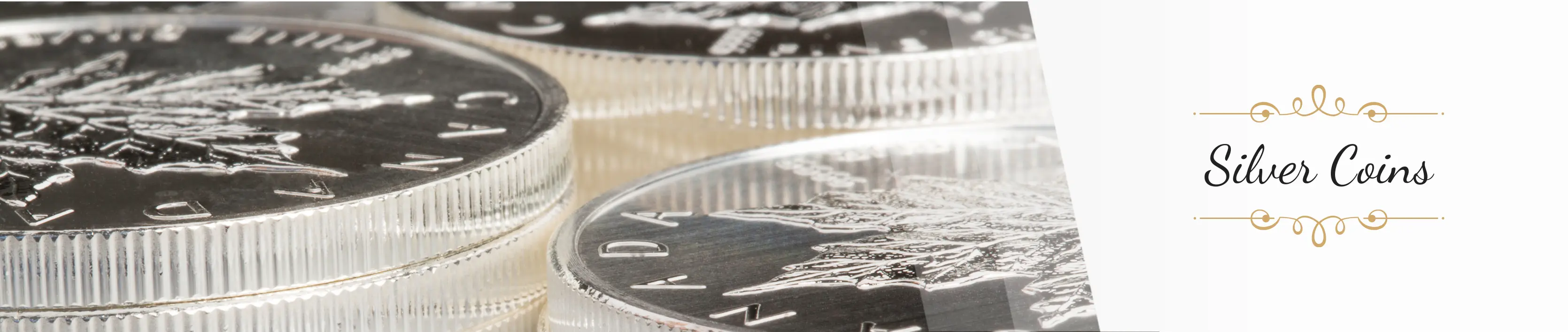 Silver Coins