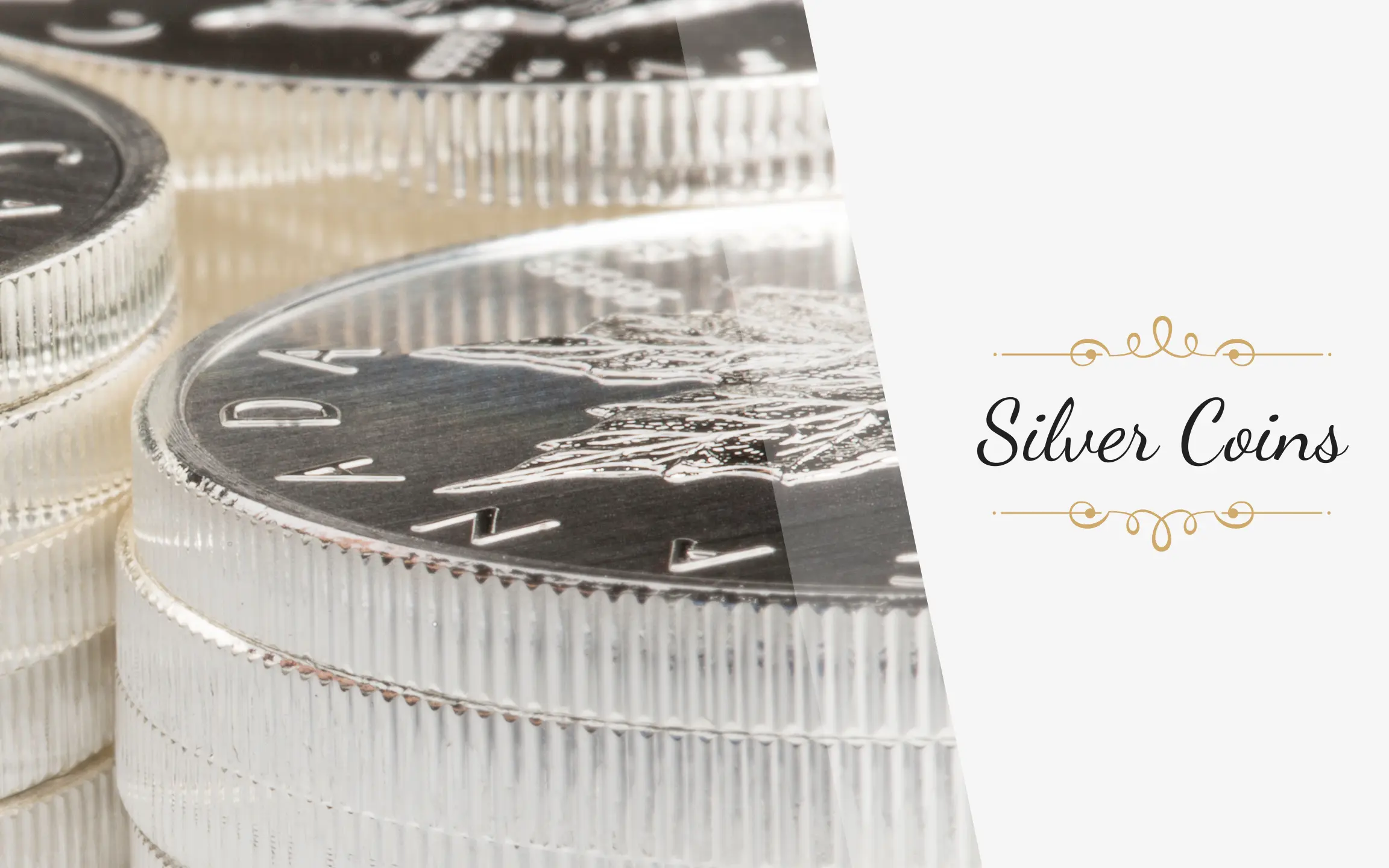 Silver Coins